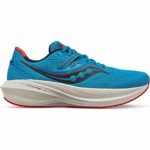 Blue Saucony Triumph 20 Men's Running Shoes | Malaysia S63215-F02