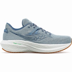 Blue Saucony Triumph RFG Men's Running Shoes | Malaysia S59283-G45