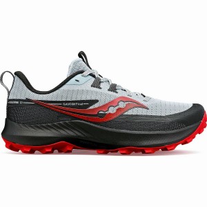 Blue / Red Saucony Peregrine 13 Men's Running Shoes | Malaysia S82950-P35