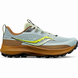 Brown Saucony Peregrine 13 Women's Trail Running Shoes | Malaysia S24501-U85