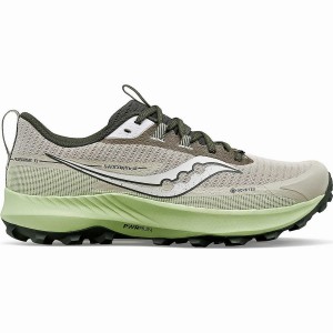 Dust / Umbra Saucony Peregrine 13 GTX Men's Running Shoes | Malaysia S15782-B97