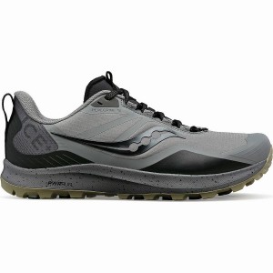 Grey / Black Saucony Peregrine ICE+ 3 Men's Running Shoes | Malaysia S43105-Z09