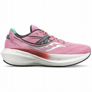 Pink Saucony Triumph 20 Women's Running Shoes | Malaysia S76249-S75