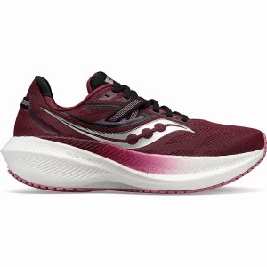 Red / Rose Saucony Triumph 20 Women's Running Shoes | Malaysia S41320-X57