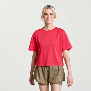 Rose Saucony Elevate Short Sleeve Women's T Shirts | Malaysia S78694-P21