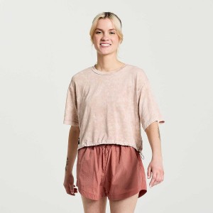 Rose Saucony Unwind Crop Short Sleeve Women's T Shirts | Malaysia S15384-K87