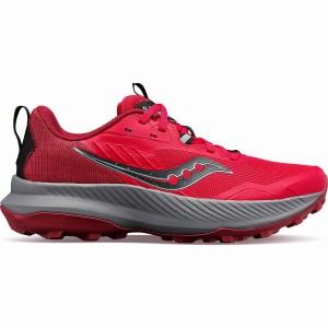 Rose / Brown Saucony Blaze TR Women's Trail Running Shoes | Malaysia S25801-M75