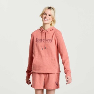 Soot Heather Graphic Saucony Rested Women's Hoodie | Malaysia S80425-R41