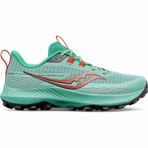 Turquoise / Orange Saucony Peregrine 13 Women's Trail Running Shoes | Malaysia S58604-B95