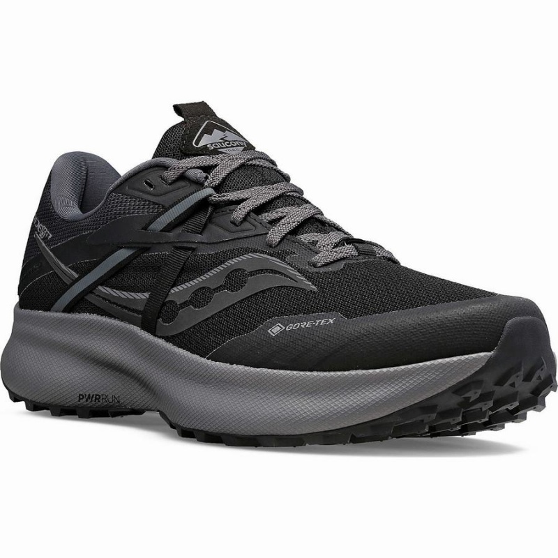 Black / Grey Saucony Ride 15 TR GTX Men's Trail Running Shoes | Malaysia S74250-U13