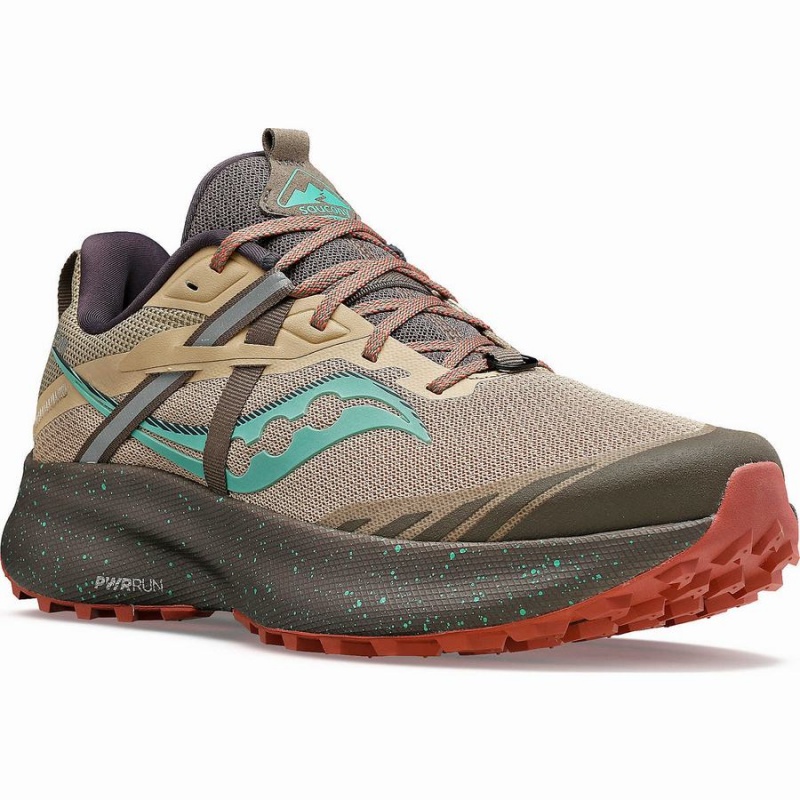 Brown / Turquoise Saucony Ride 15 TR Women's Trail Running Shoes | Malaysia S58347-D18