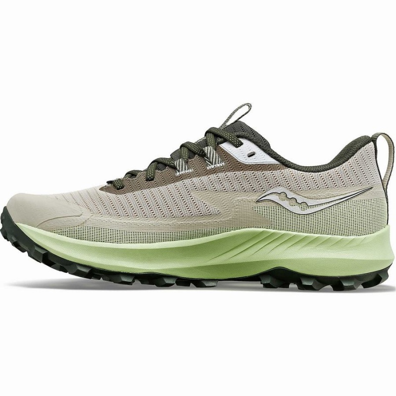 Dust / Umbra Saucony Peregrine 13 GTX Men's Running Shoes | Malaysia S15782-B97