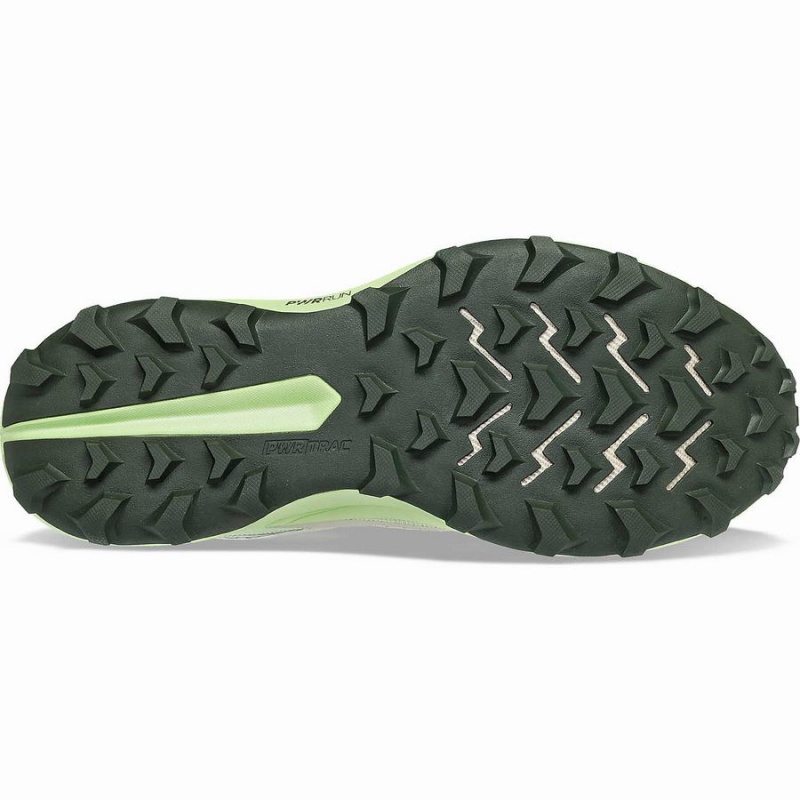 Dust / Umbra Saucony Peregrine 13 GTX Men's Running Shoes | Malaysia S15782-B97