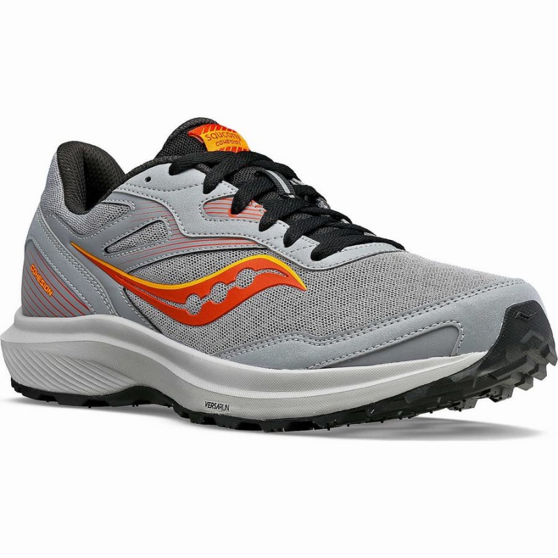 Grey Saucony Cohesion TR16 Men's Running Shoes | Malaysia S38105-P41