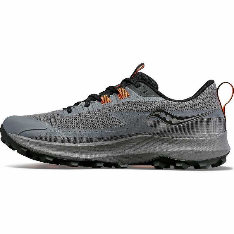 Grey / Black Saucony Peregrine 13 GTX Men's Running Shoes | Malaysia S41720-V90