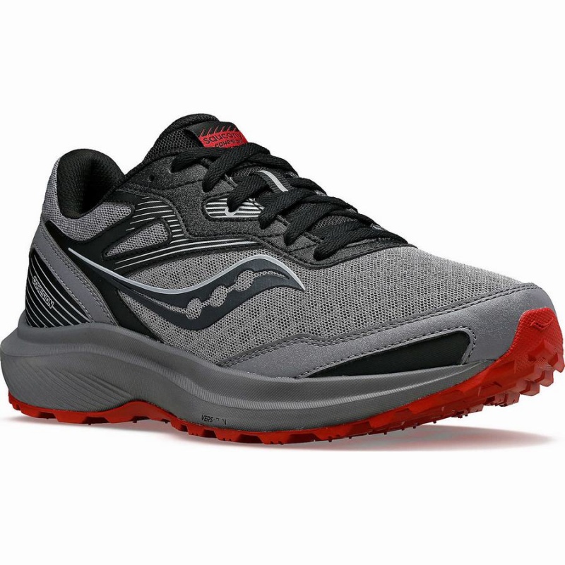 Grey / Burgundy Saucony Cohesion TR16 Men's Running Shoes | Malaysia S80647-Y81