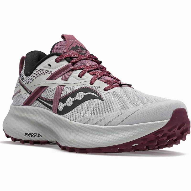 Grey / Purple Saucony Ride 15 TR Women's Trail Running Shoes | Malaysia S25891-S87