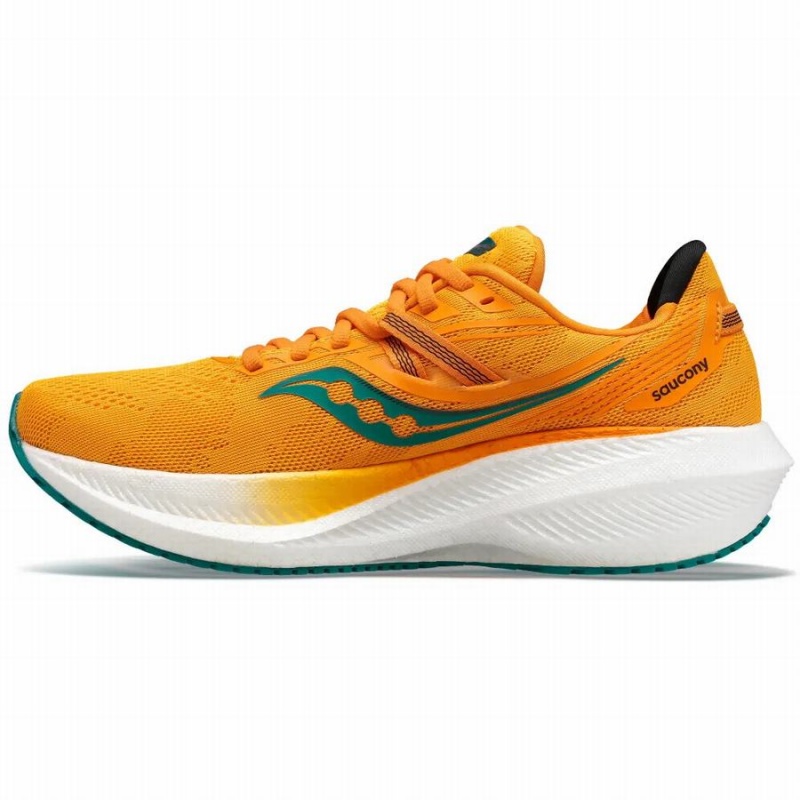 Orange Saucony Triumph 20 Men's Running Shoes | Malaysia S21786-L05