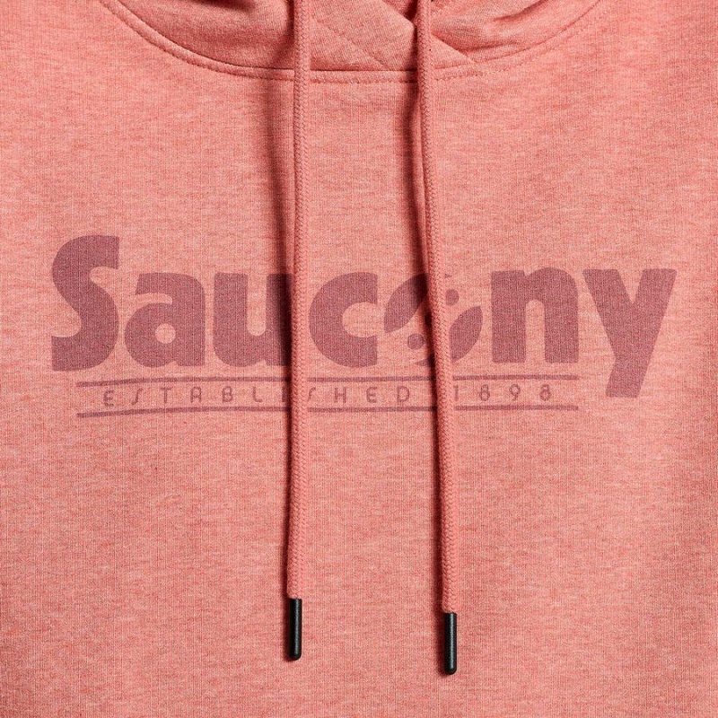 Soot Heather Graphic Saucony Rested Women's Hoodie | Malaysia S80425-R41