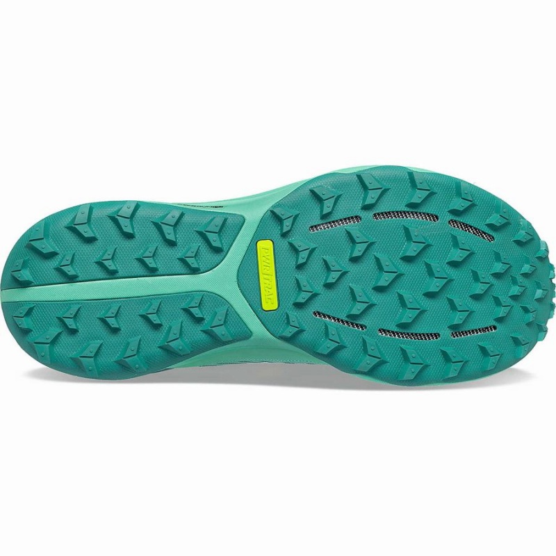 Turquoise Saucony Ultra Ridge GTX Women's Trail Running Shoes | Malaysia S68073-G80